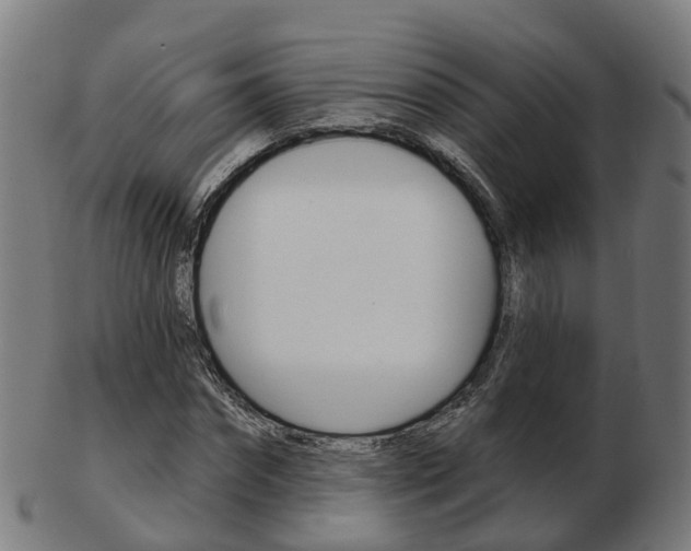 X0000103490874200809120948
