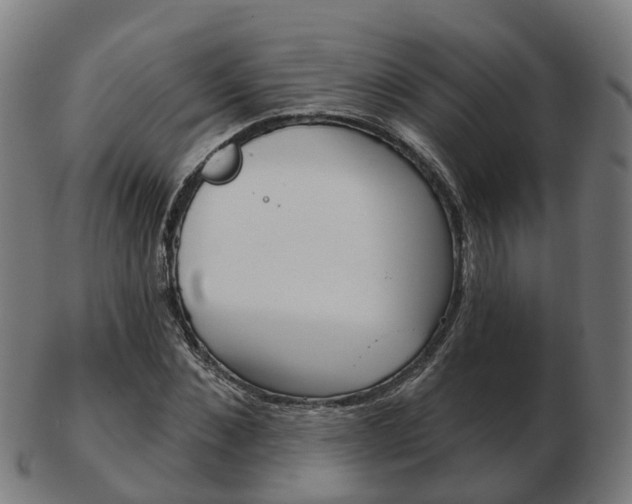 X0000103490876200809120948