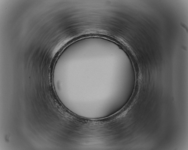 X0000103490877200809120948