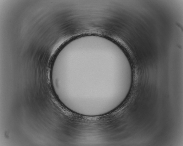X0000103490878200809120948