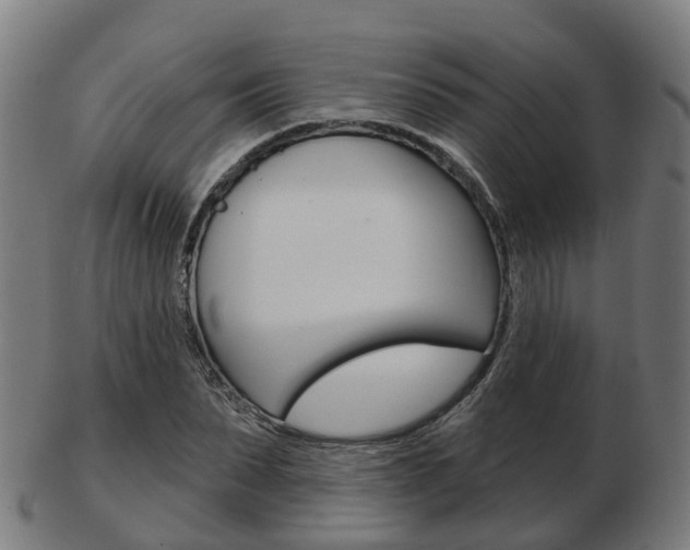 X0000103490879200809120948