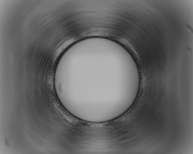 X0000103490882200809120948