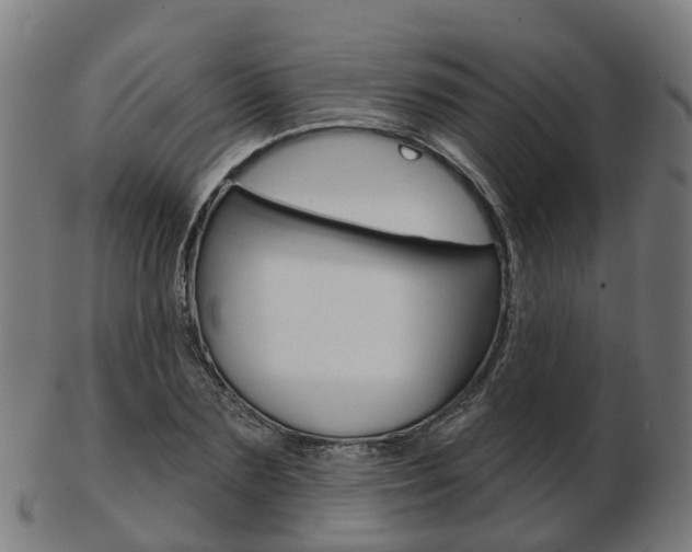 X0000103490883200809120948