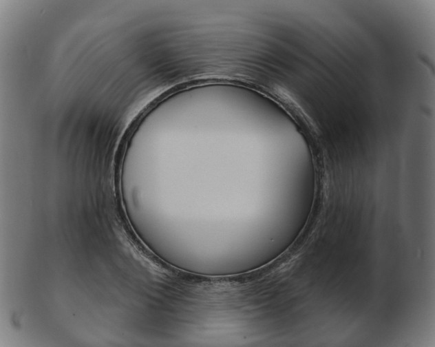 X0000103490884200809120948