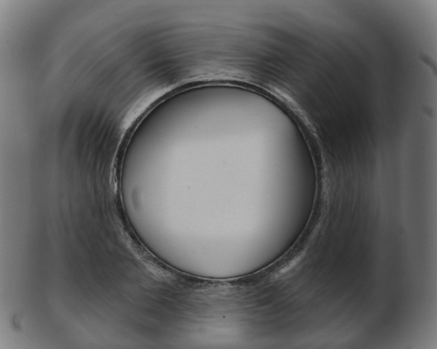 X0000103490885200809120948