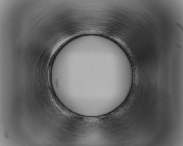 X0000103490886200809120948