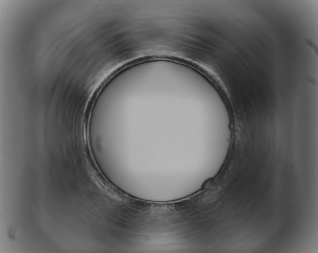 X0000103490887200809120948
