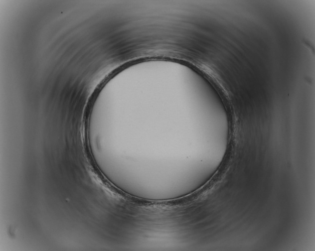 X0000103490888200809120948