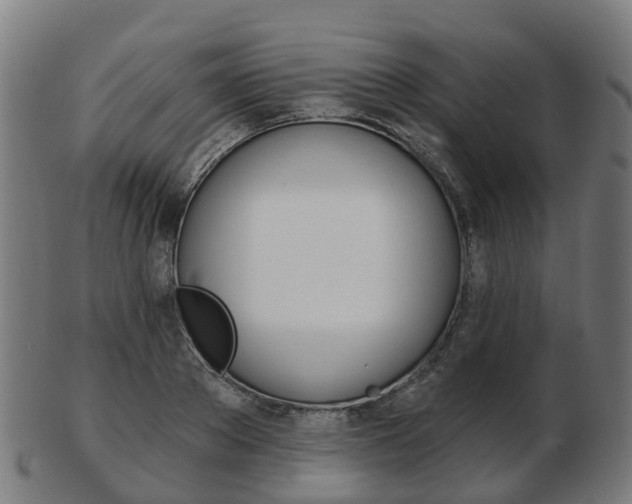 X0000103490889200809120948