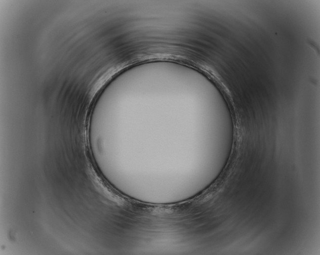 X0000103490890200809120948