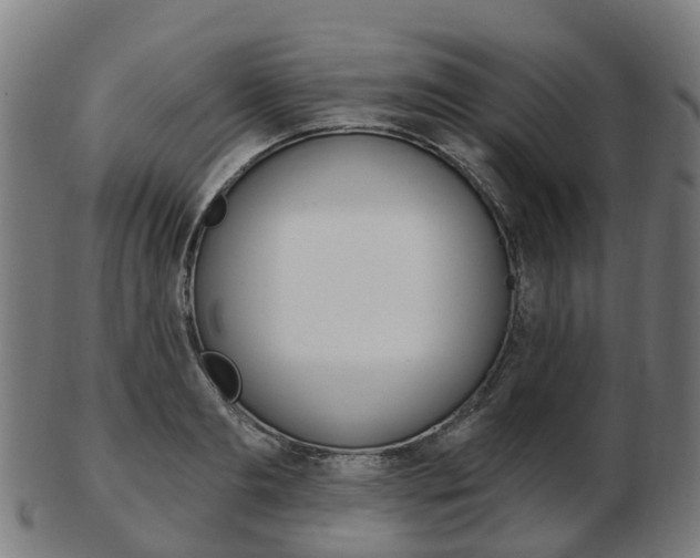 X0000103490893200809120948