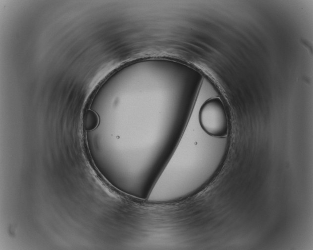 X0000103490894200809120948
