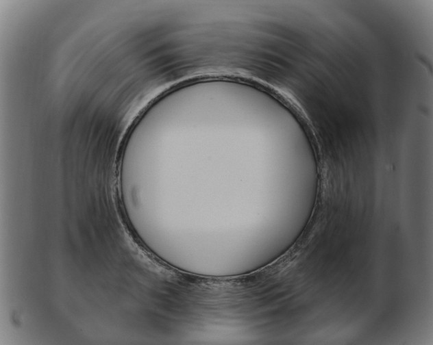 X0000103490895200809120948