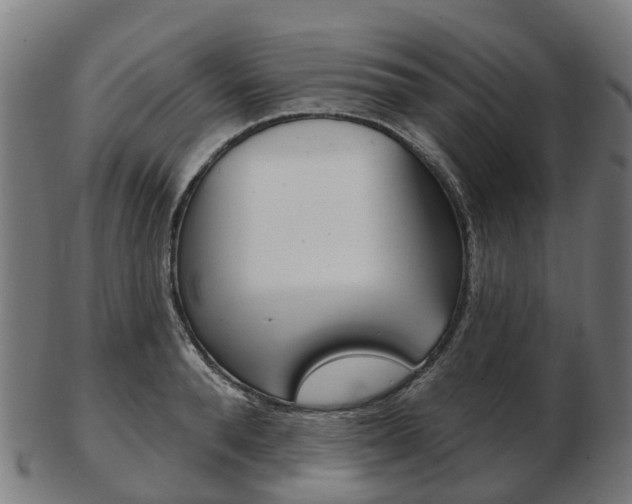 X0000103490896200809120948