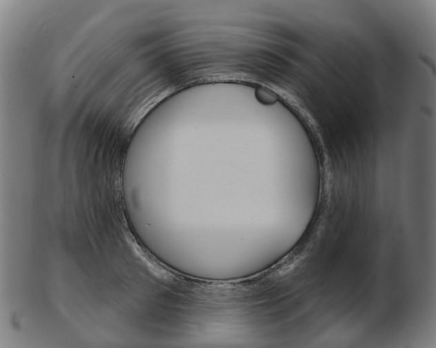 X0000103490897200809120948