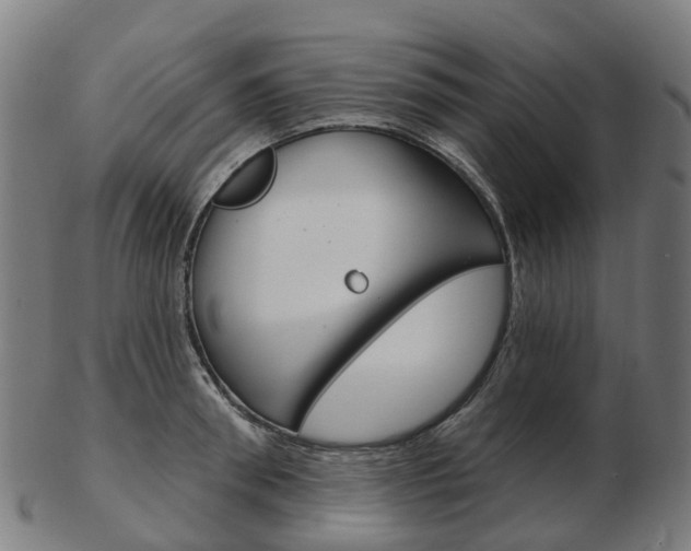 X0000103490898200809120948