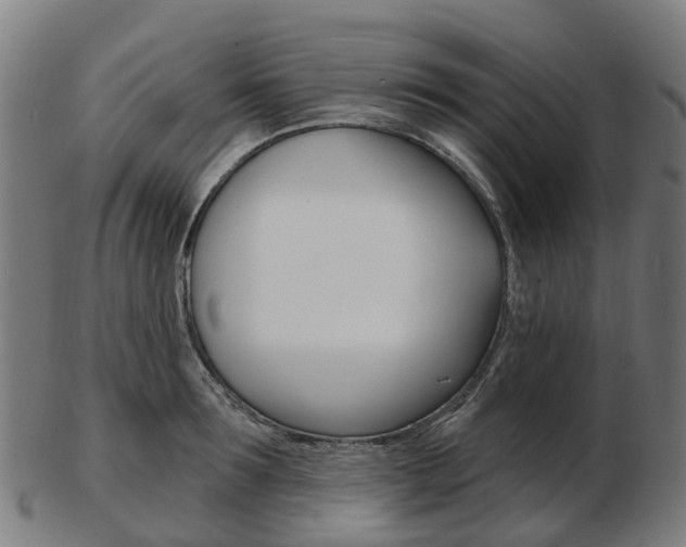 X0000103490899200809120948