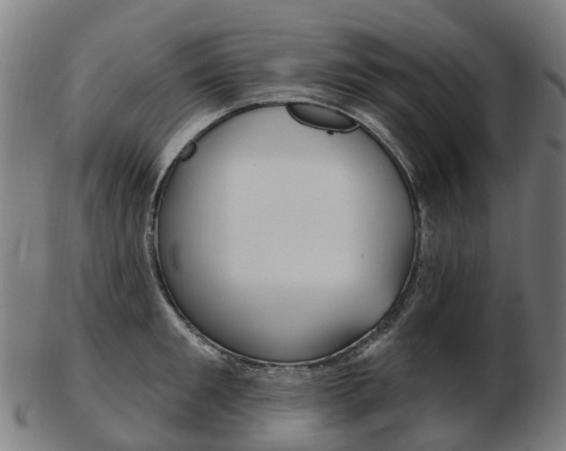 X0000103490901200809120948