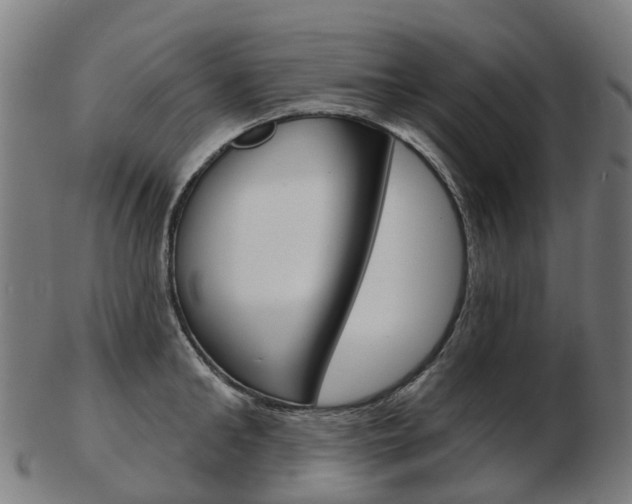 X0000103490902200809120948