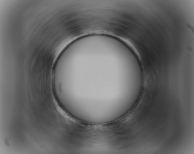X0000103490903200809120948