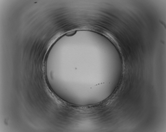 X0000103490907200809120947