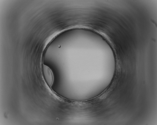 X0000103490910200809120947