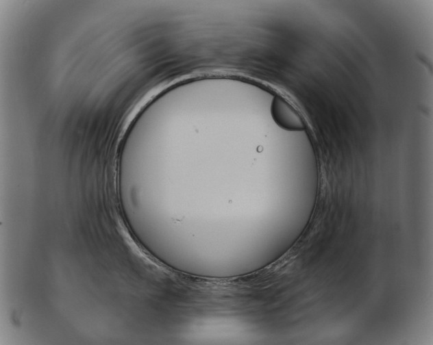 X0000103490911200809120947