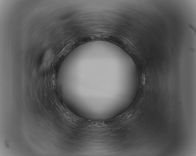 X0000103490915200809120947