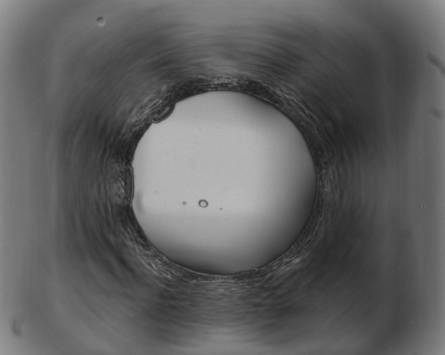 X0000103490916200809120947
