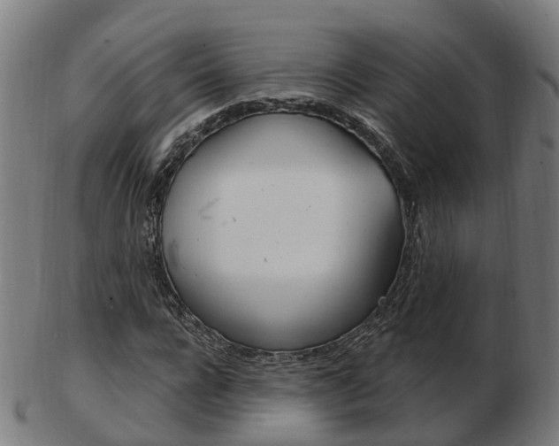 X0000103490920200809120947