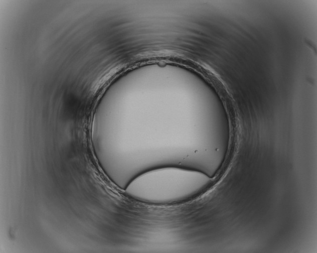 X0000103490921200809120947