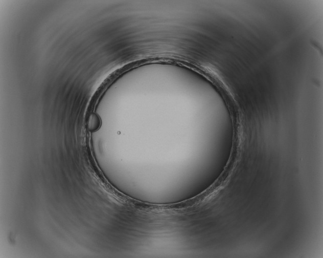 X0000103490924200809120947