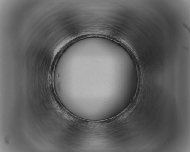 X0000103490928200809120947