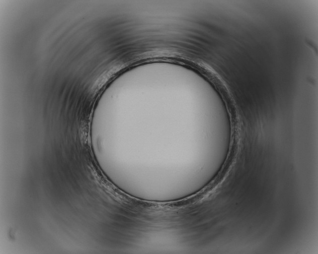 X0000103490929200809120947