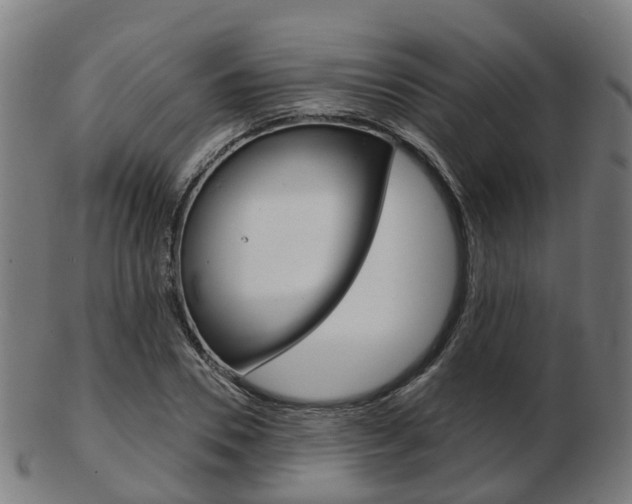 X0000103490930200809120947