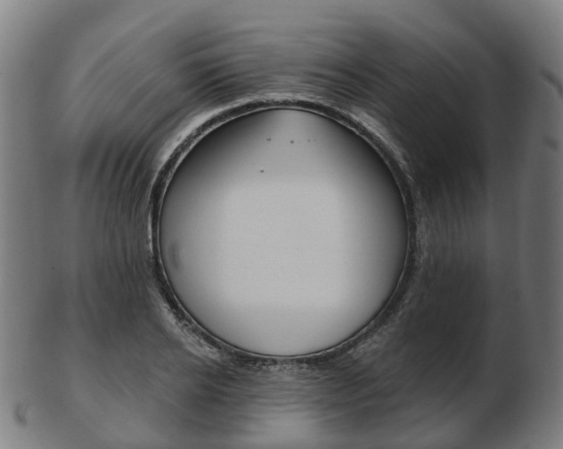X0000103490934200809120947