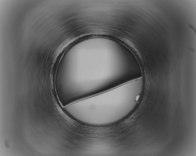 X0000103490935200809120947