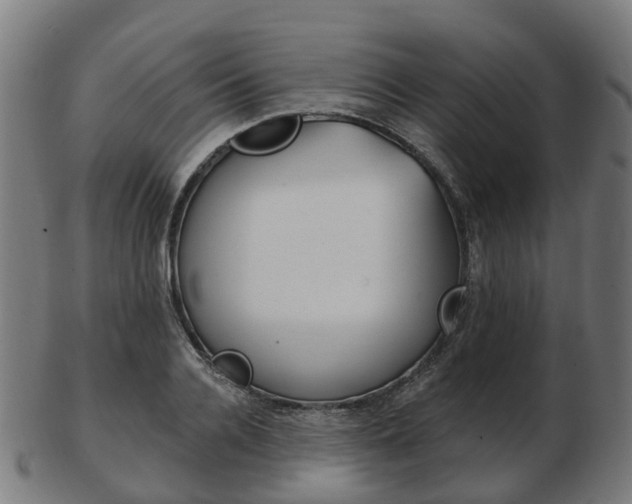X0000103490936200809120947