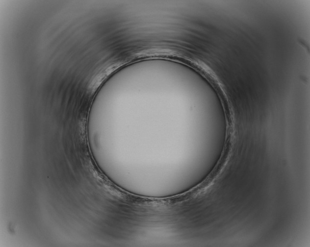 X0000103490937200809120947