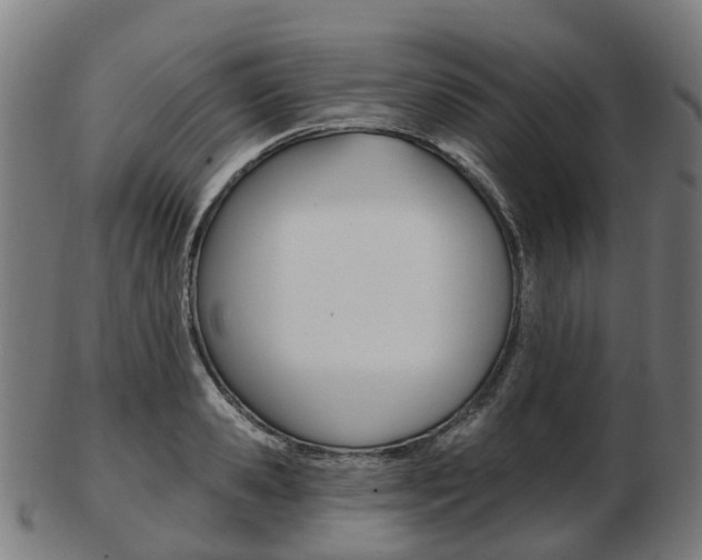 X0000103490941200809120947