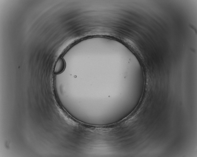 X0000103490942200809120947