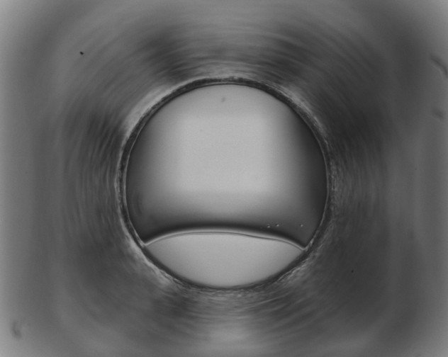 X0000103490943200809120947