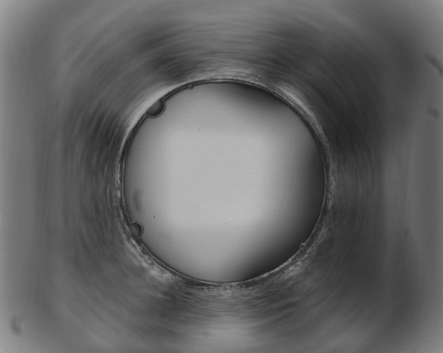X0000103490948200809120947