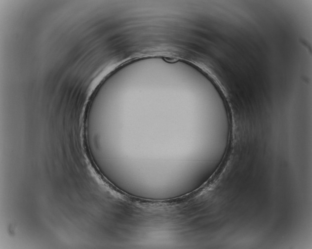 X0000103490949200809120947