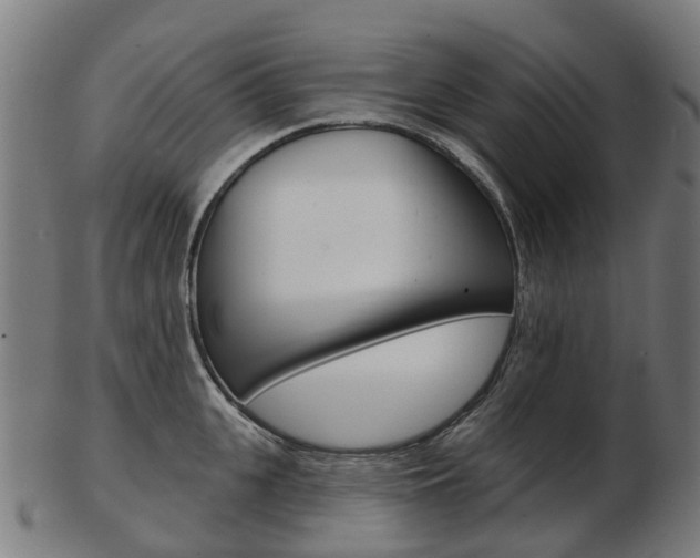 X0000103490951200809120947