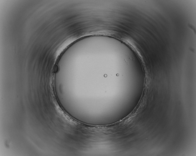 X0000103490952200809120947