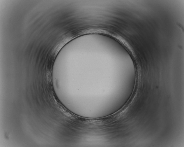 X0000103490953200809120947