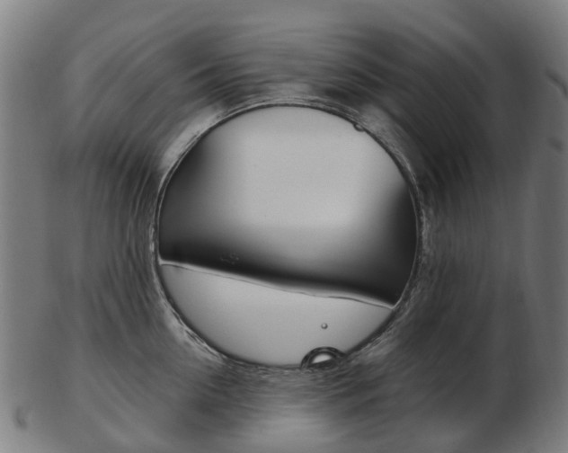 X0000103490954200809120947