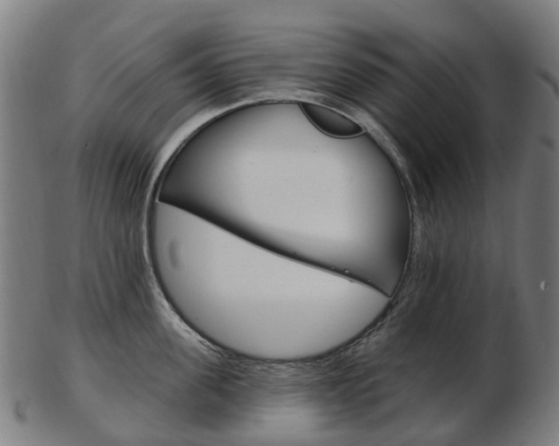 X0000103490955200809120947