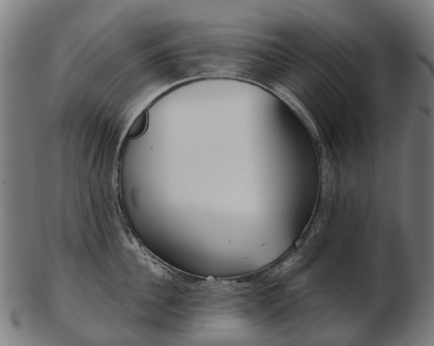 X0000103490956200809120947